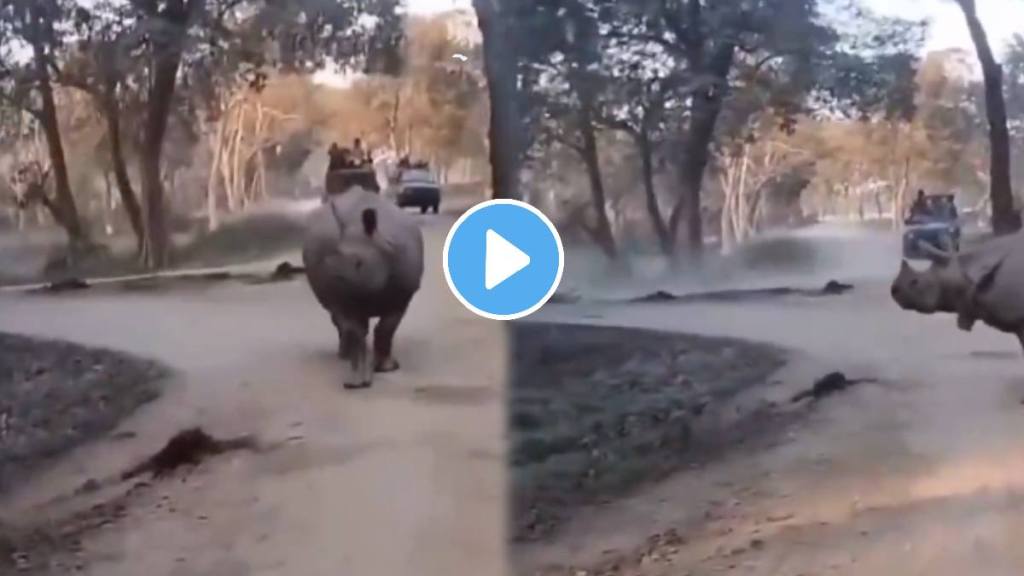 Horrible incident at the Kaziranga National Park in Assam shocking video