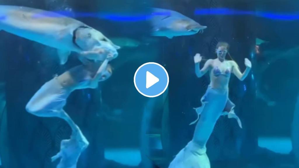 Woman dressed as mermaid dancing Inside water tried to eaten by giant fish shocking video