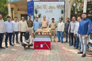 Sandalwood thief arrested on Sinhagad road