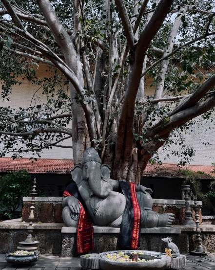 Marathi actress sayali Sanjeev Visited sadhguru ashram and Adiyogi Shiva statue