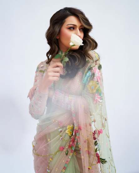 Hansika Motwani gorgeous look in beautiful saree