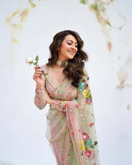 Hansika Motwani gorgeous look in beautiful saree