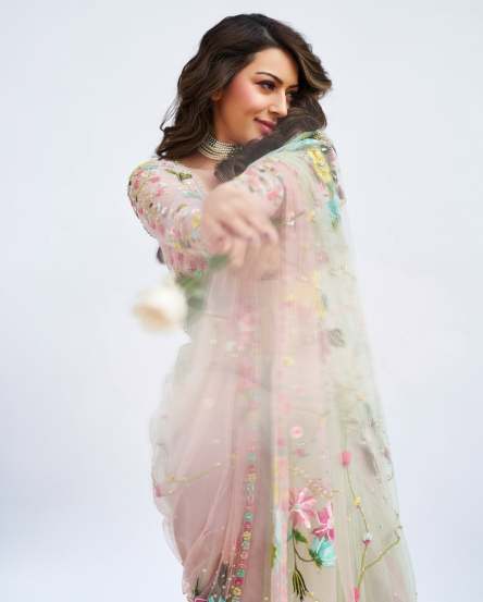 Hansika Motwani gorgeous look in beautiful saree