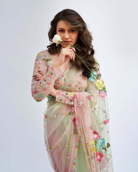 Hansika Motwani gorgeous look in beautiful saree