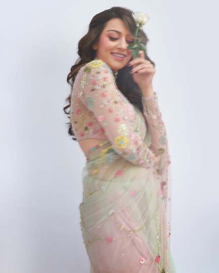 Hansika Motwani gorgeous look in beautiful saree