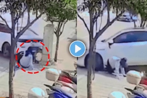 Shocking video of car took reverse leads to little boy accident mother panicked