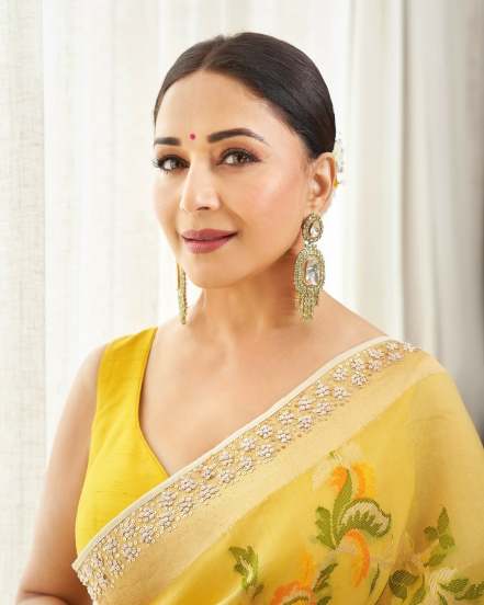 Bollywood star Madhuri Dixit shares bold look in grey floral saree on social media