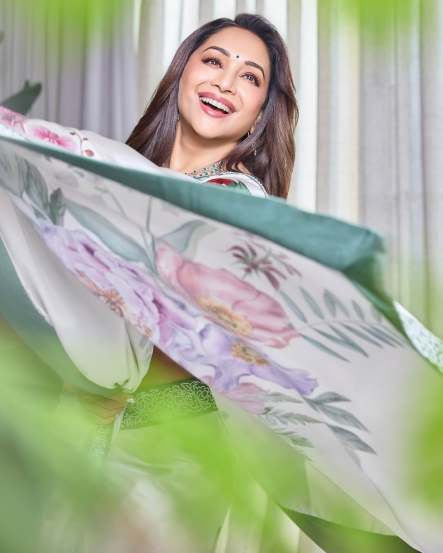 Bollywood star Madhuri Dixit shares bold look in grey floral saree on social media