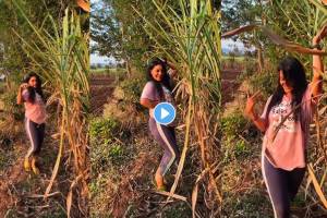 Bigg Boss Marathi Fame sonali patil dance on mala lagali kunachi uchaki song