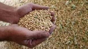 Soyabean Purchase Objective Failed farmers in trouble