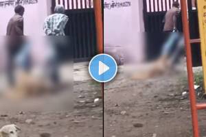 Terrifying Video hospital employess were seen dragging dead body