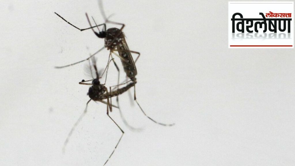 Toxic semen kill female mosquitoes australia