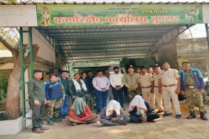 Bhandara, tigress , Three people arrested