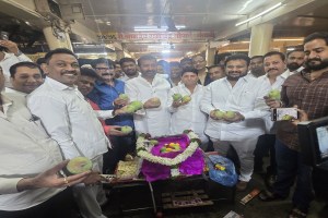 Hapus season delayed , Hapus pune, pune, mango ,