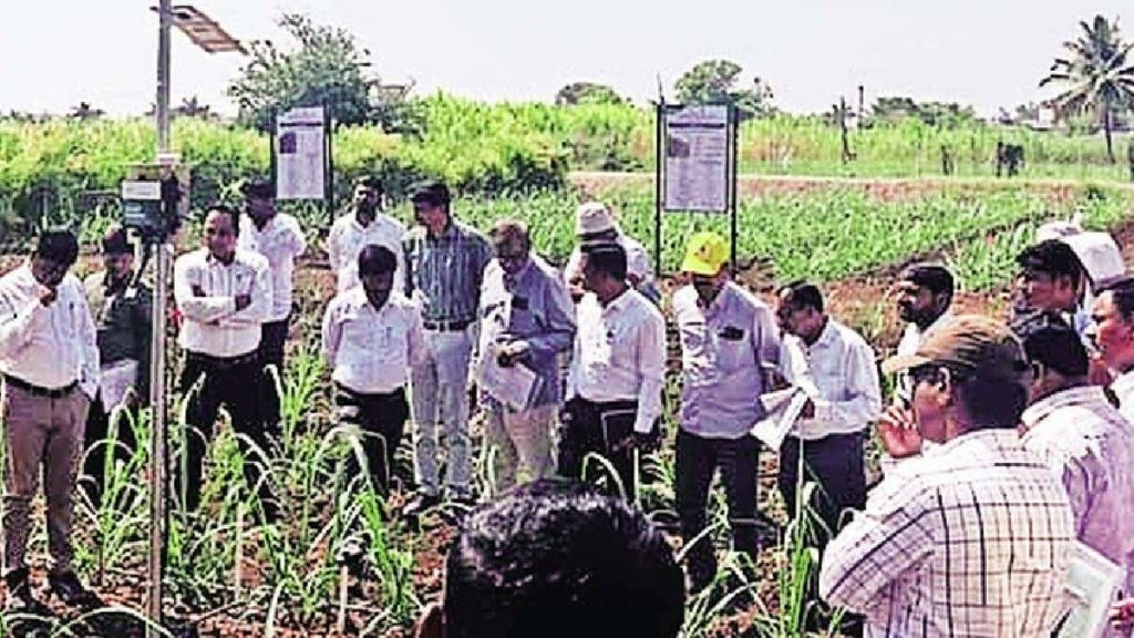 Artificial Intelligence, Sugarcane Farming, Lokshiwar ,