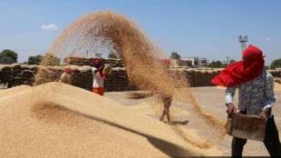 shortage of Wheat flour companies