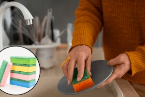 Why do kitchen sponges come in different colors and what do they indicate