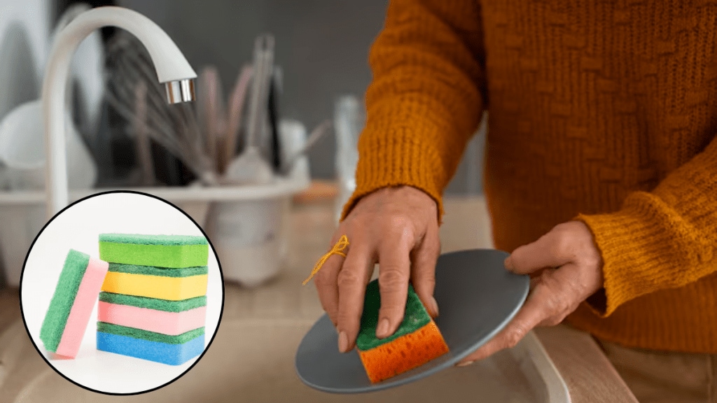 Why do kitchen sponges come in different colors and what do they indicate