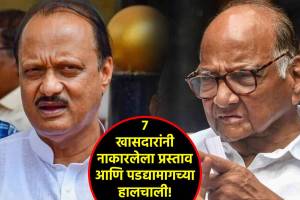 ajit pawar sharad pawar (7)