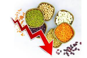 recession in grains market recession still hangs over agricultural economy