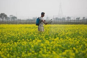 crop insurance scam latur