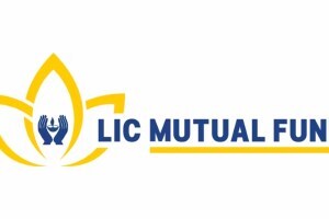 lic mf medium to long duration fund