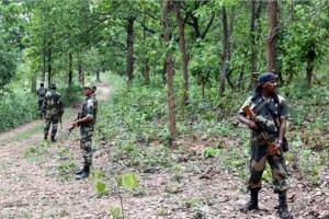 security forces killed 14 naxalites