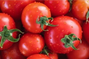 pune tomato prices fall