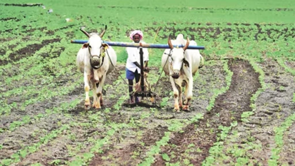 Vidarbha cotton tur soybean farmers