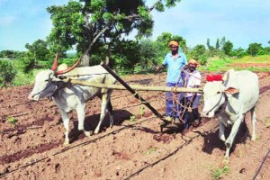 land will be returned to farmers