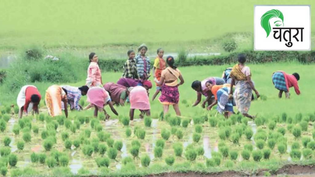 Empowering tribal farmers through organic farming