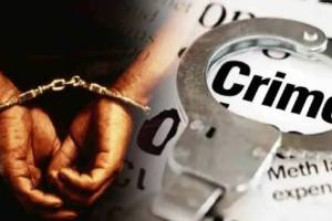 interstate vehicle theft gang busted in nagpur