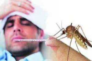 Citizens suffer from fever dengue chikungunya in January itself mumbai news