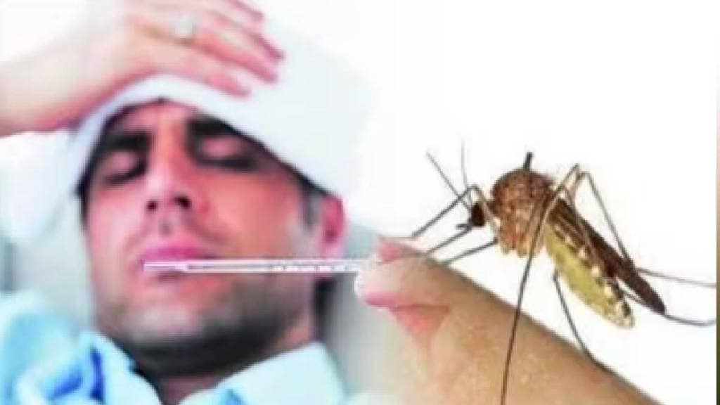 Citizens suffer from fever dengue chikungunya in January itself mumbai news