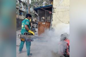 Chemicals are now used to eliminate mosquitoes in vasai