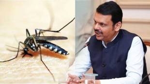 cm devendra fadnavis orders  eradicate malaria from gadchirli