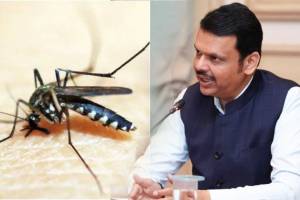 cm devendra fadnavis orders  eradicate malaria from gadchirli