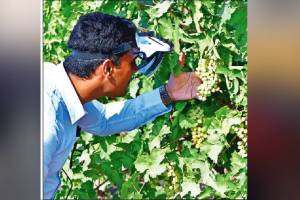 Farmers climate smart friend Open source augmented reality headset