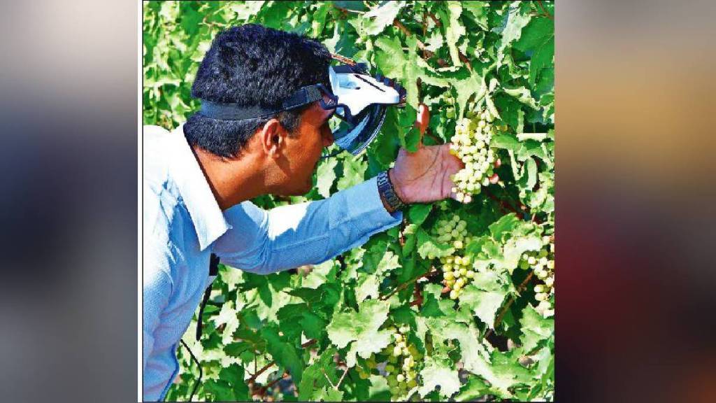 Farmers climate smart friend Open source augmented reality headset