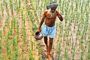 Effects of climate change on agriculture Global warming Cyclone