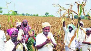 Seven lakh farmers deprived of loan waiver