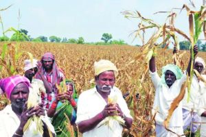 Seven lakh farmers deprived of loan waiver