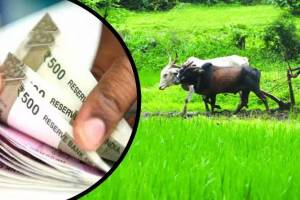 Farmer Duped Of rs 40 Lakh On Pretext Of making quick money