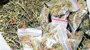 aiu arrested two passengers from Mumbai airport for smuggling ganja