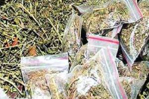 Rickshaw driver arrested for smuggling Ganja Mumbai news