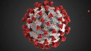 HMPV Virus Causes Symptoms Treatment in marathi