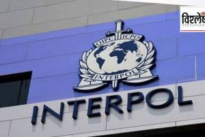 What are Blue Corner and Red Corner Notices issued by Interpol