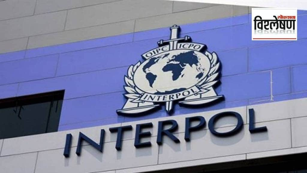 What are Blue Corner and Red Corner Notices issued by Interpol