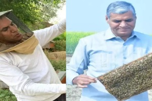 Success story of jagpal singh phogat who left teaching did honey business became businessman earned crores