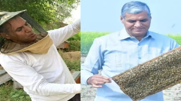 Success story of jagpal singh phogat who left teaching did honey business became businessman earned crores